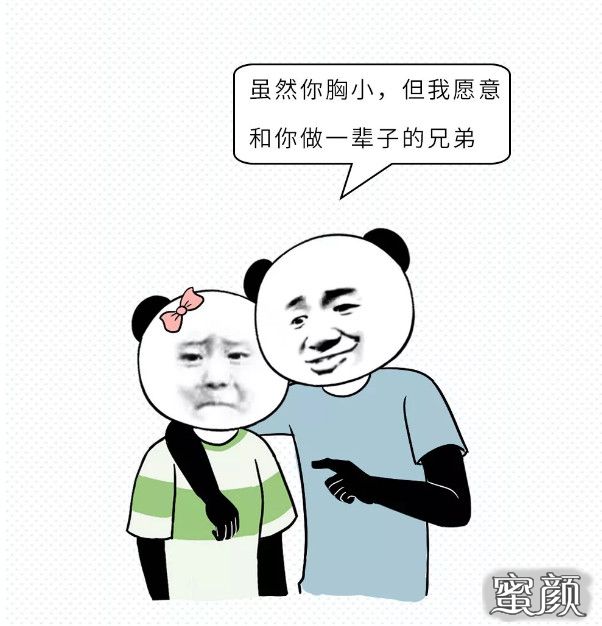 案例图片