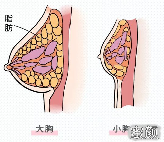 案例图片