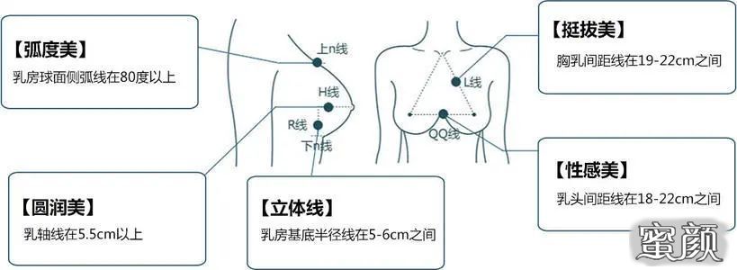 案例图片