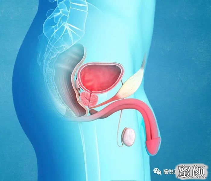 https://img.yiyiaimei.com/mnt/timg/200715/12331B5D-2.jpg