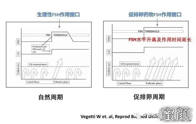 https://img.yiyiaimei.com/mnt/timg/200715/12443BI3-1.jpg