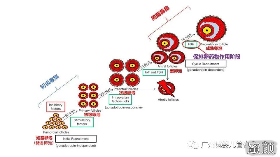 https://img.yiyiaimei.com/mnt/timg/200715/12443C0Z-0.jpg