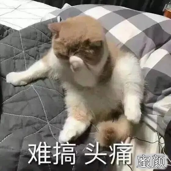 案例图片