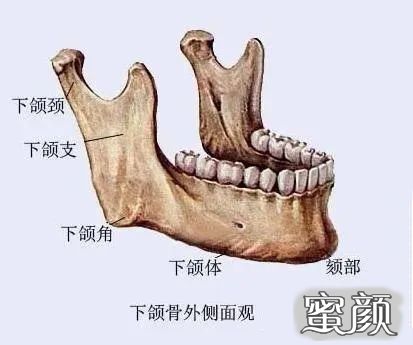 案例图片