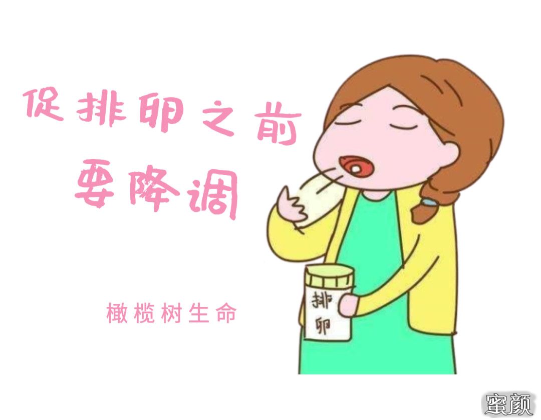 案例图片