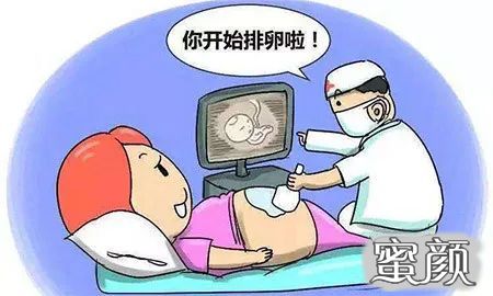 案例图片