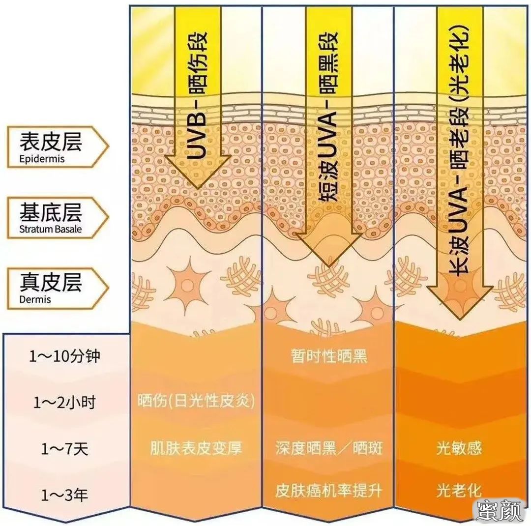 案例图片