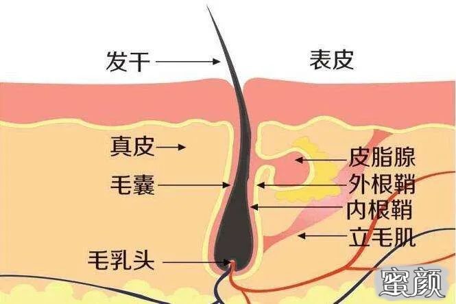 案例图片