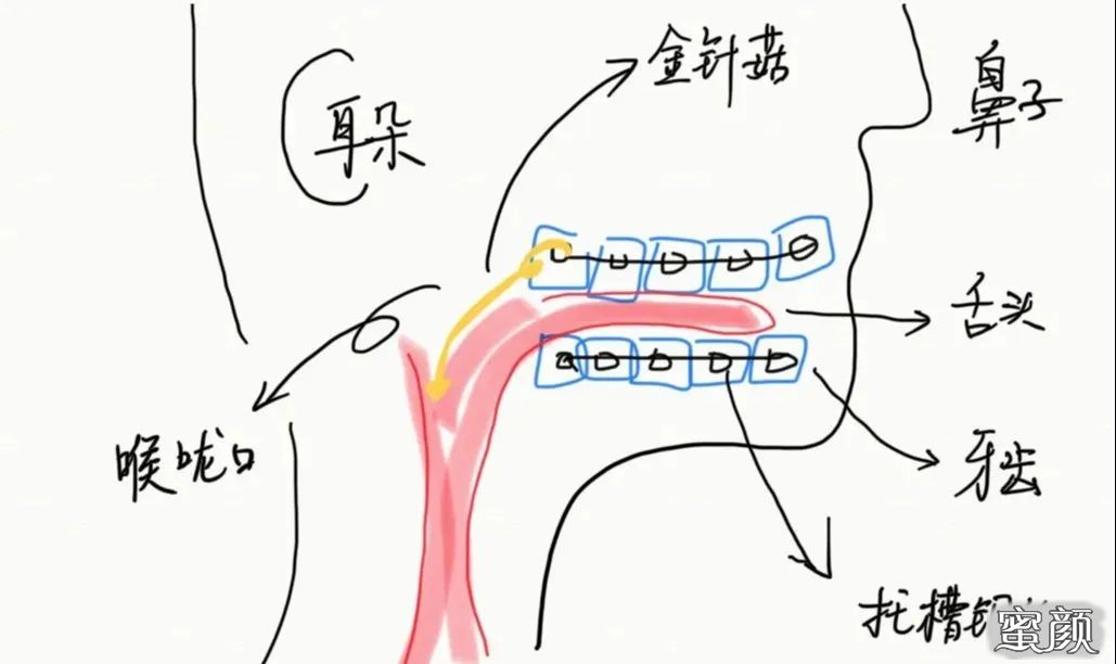 案例图片