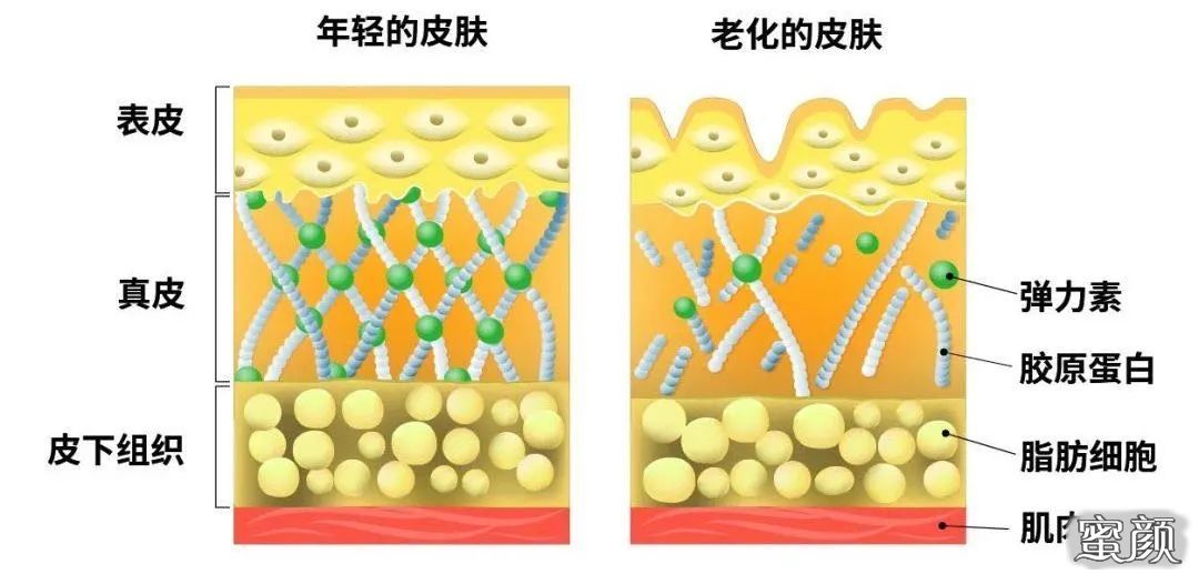 案例图片