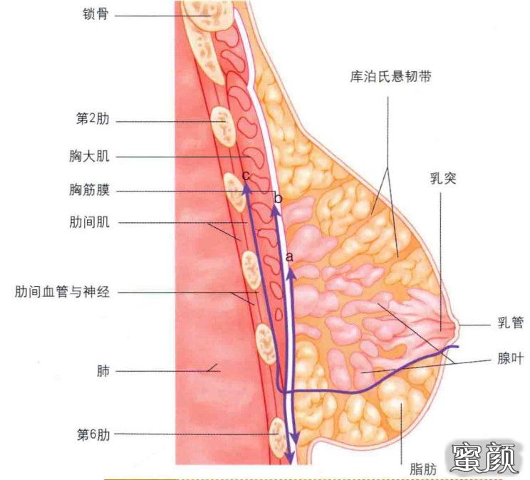 案例图片