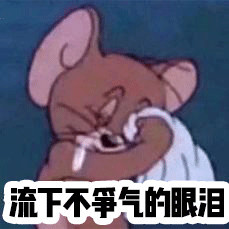 案例图片