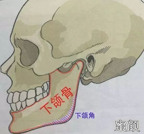 案例图片