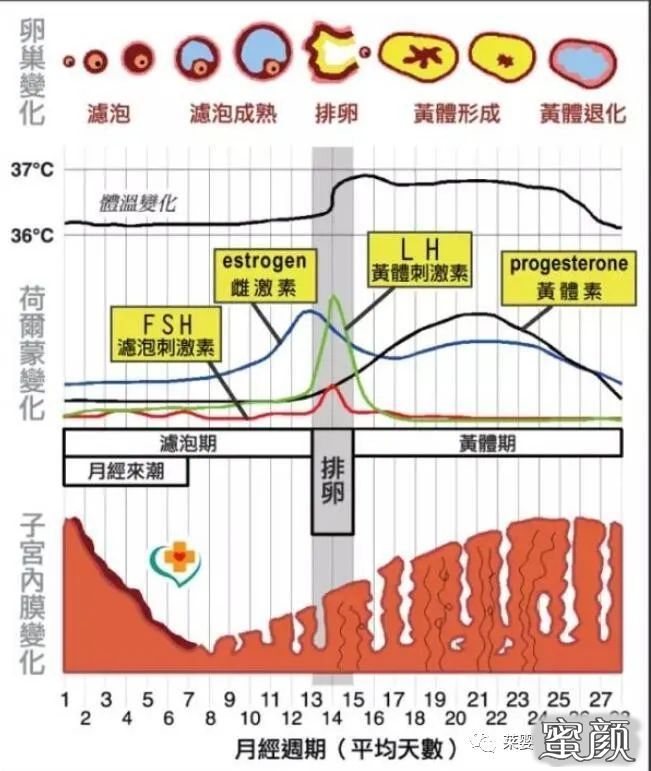 https://img.yiyiaimei.com/mnt/timg/200723/1249524506-0.jpg 案例图片