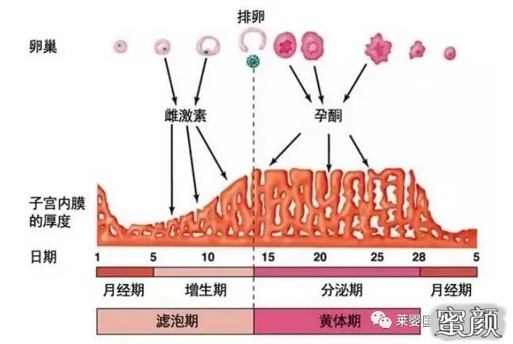 https://img.yiyiaimei.com/mnt/timg/200723/1249531530-2.jpg 案例图片