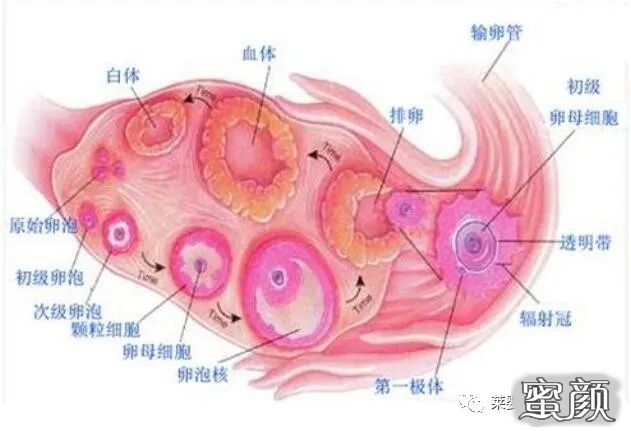 https://img.yiyiaimei.com/mnt/timg/200723/12495324b-1.jpg 案例图片