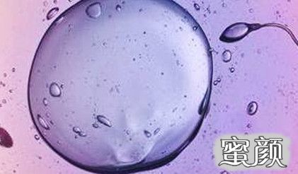 案例图片