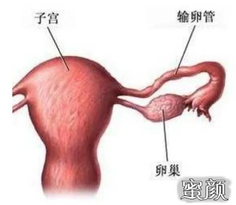 案例图片