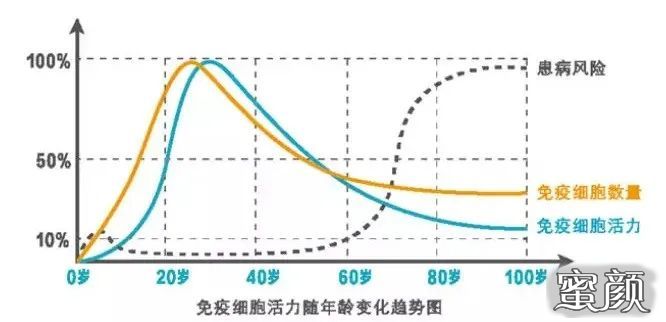 案例图片