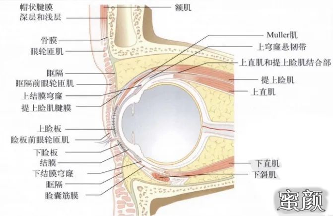 案例图片