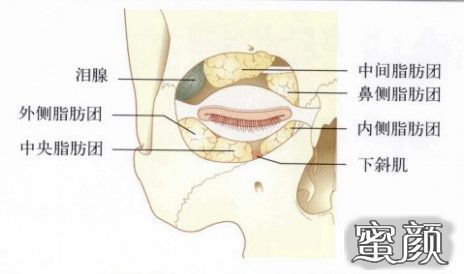 案例图片