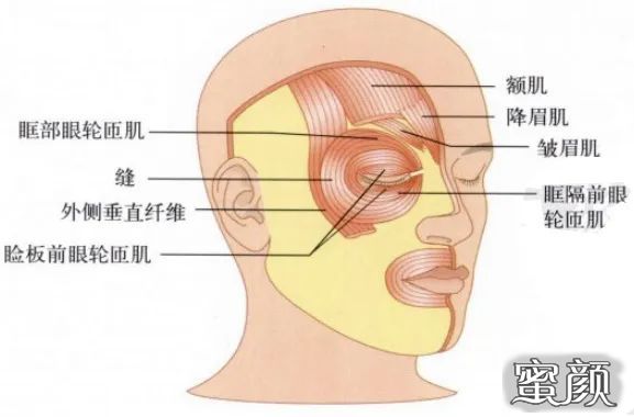 案例图片