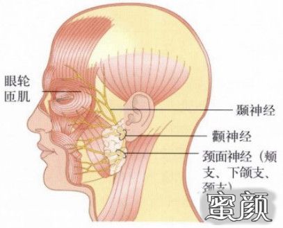 案例图片