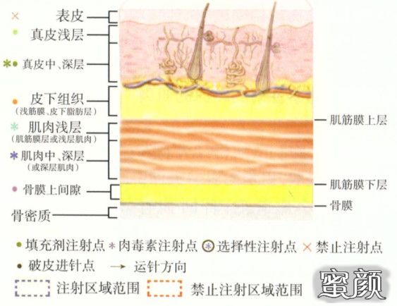 案例图片