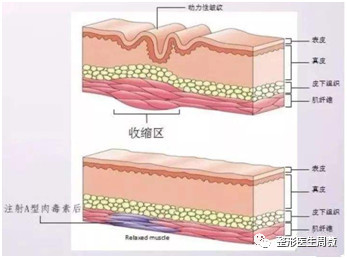 案例图片