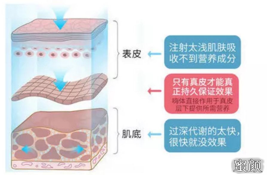 案例图片