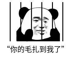 案例图片