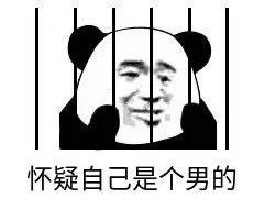 案例图片