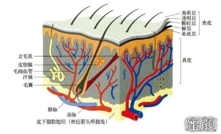 案例图片