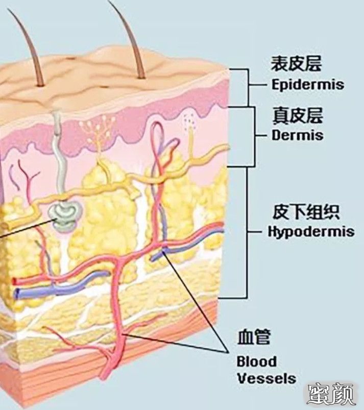 https://img.yiyiaimei.com/mnt/timg/200730/143II347-1.jpg 案例图片