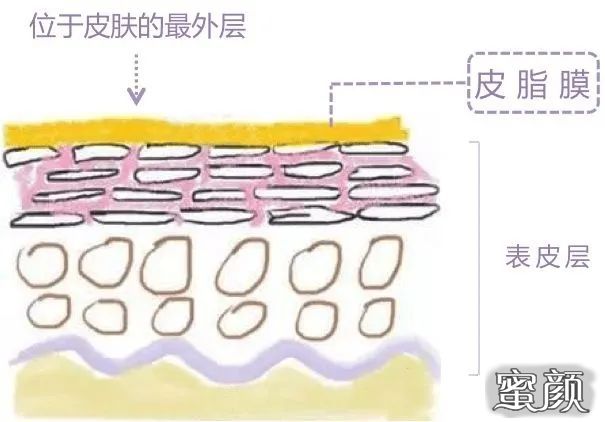 案例图片