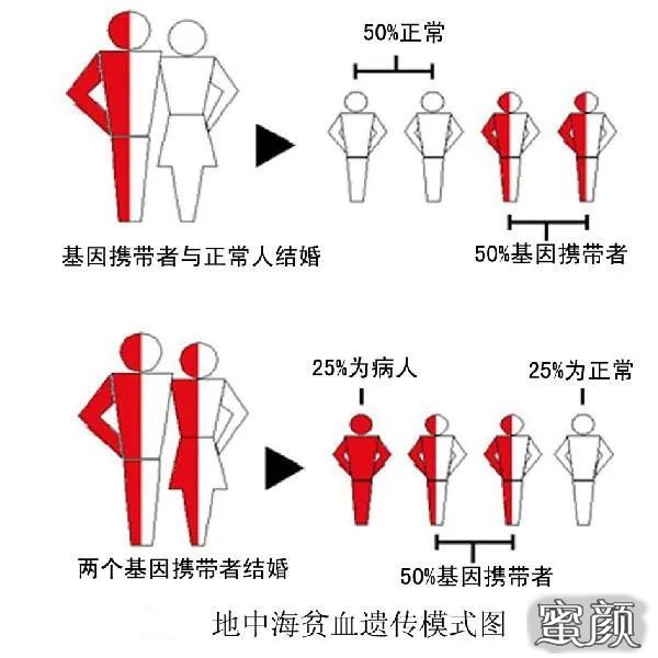 案例图片