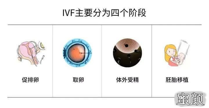 https://img.yiyiaimei.com/mnt/timg/200801/13562WK8-0.jpg 案例图片