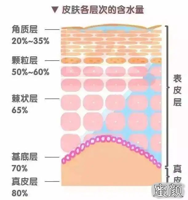 案例图片