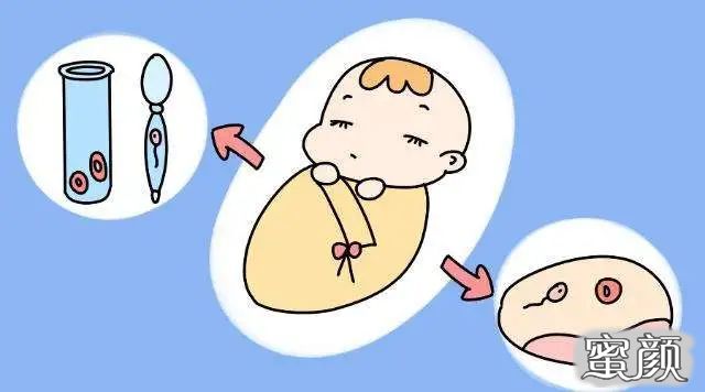 案例图片