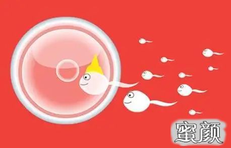 案例图片