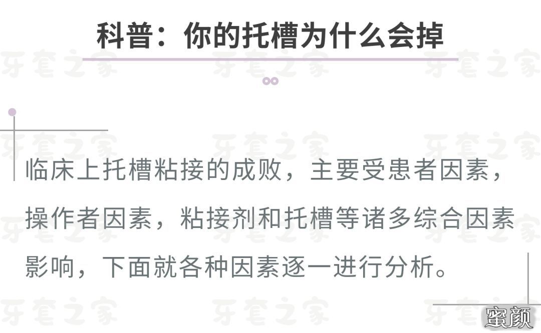 案例图片