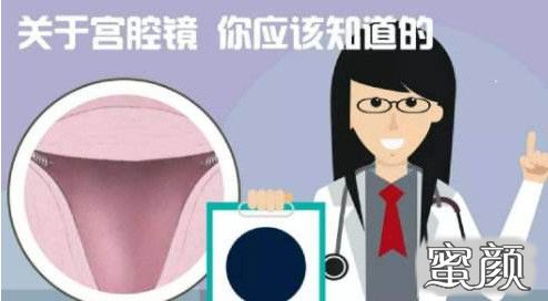 案例图片