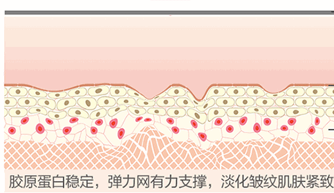 案例图片