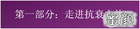 案例图片