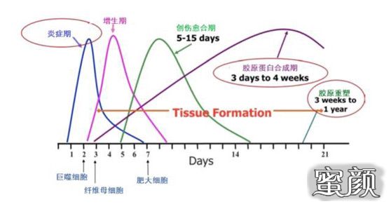 案例图片