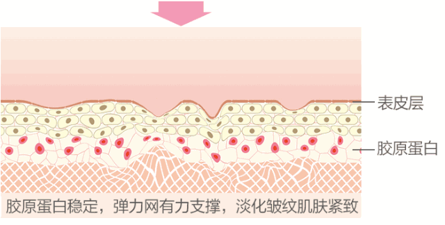 https://img.yiyiaimei.com/mnt/timg/200815/12362960I-0.jpg 案例图片