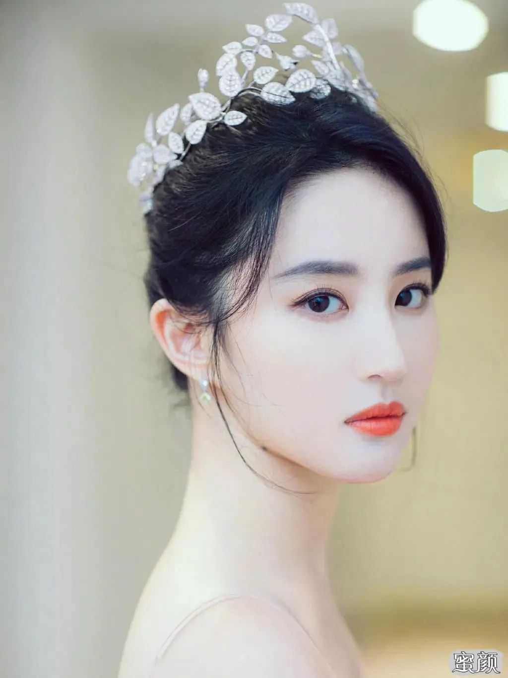 案例图片
