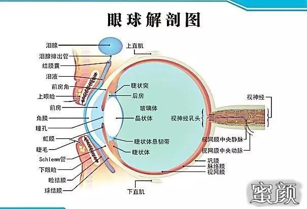 案例图片