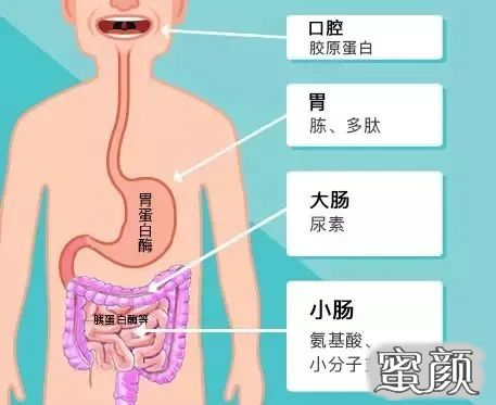 案例图片