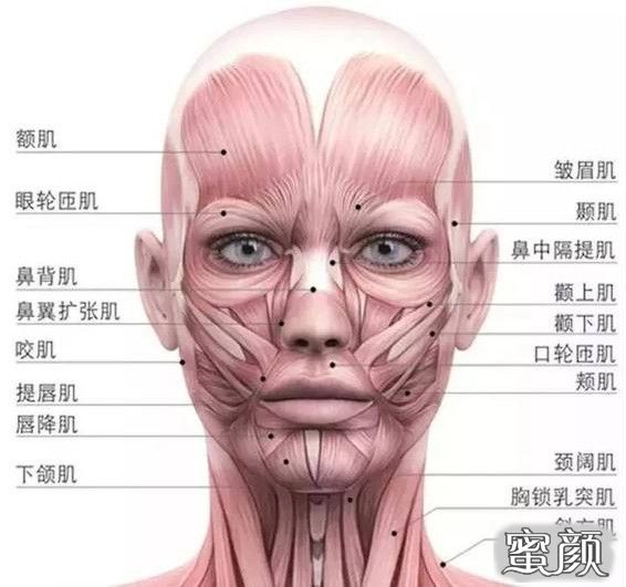 案例图片